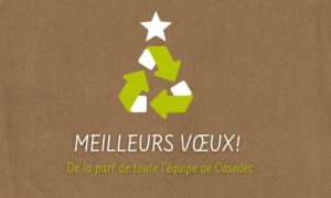 Lire la suite à propos de l’article Nos vœux et rétrospective 2020